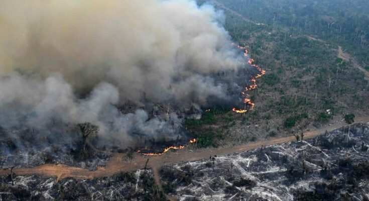 Todos os incêndios extintos no estado de São Paulo – Labass.net