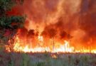 L’Europe confrontée à une nouvelle vague d’incendies de forêt