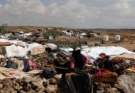 Près de 94 000 déplacés au Yémen, selon l’OIM
